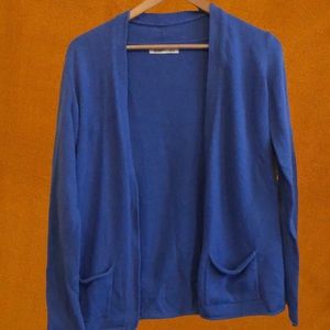 Blue Cardigan